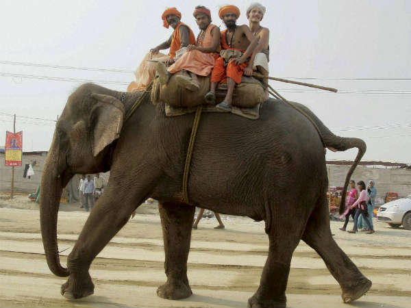 ಆನೆಯ ಮೇಲೆ ನಾಲ್ವರು ಸಾಧುಗಳ ಕಂಡೆ