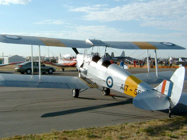 ಟೈಗರ್ ಮಾಥ್ 