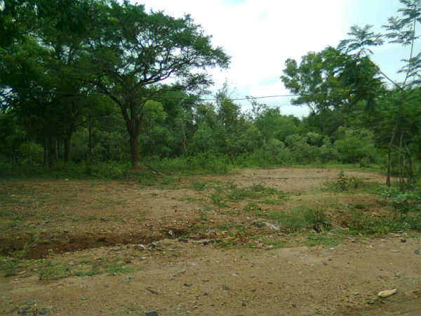 Severed man's head found in dog's mouth Severed man's head found in dog's mouth