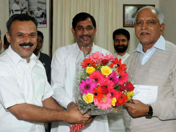 ಅವರೆಲ್ಲಾ ನಾಯಿ-ನರಿಗಳು ಅವರೆಲ್ಲಾ ನಾಯಿ-ನರಿಗಳು