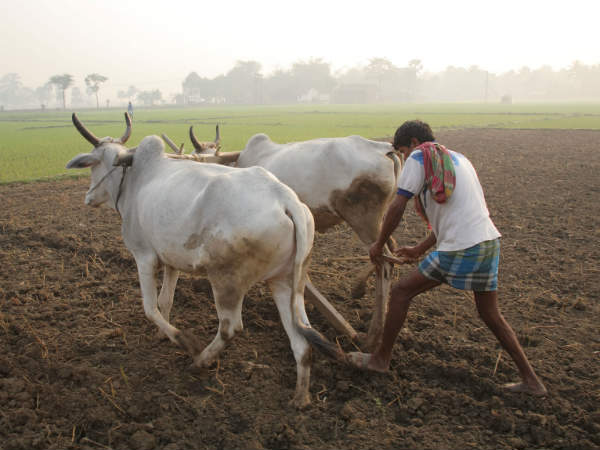 ಲೋಕಸತ್ತಾ ಪ್ರಣಾಳಿಕೆ : ರೈತರಿಗಾಗಿ ಯೋಜನೆ