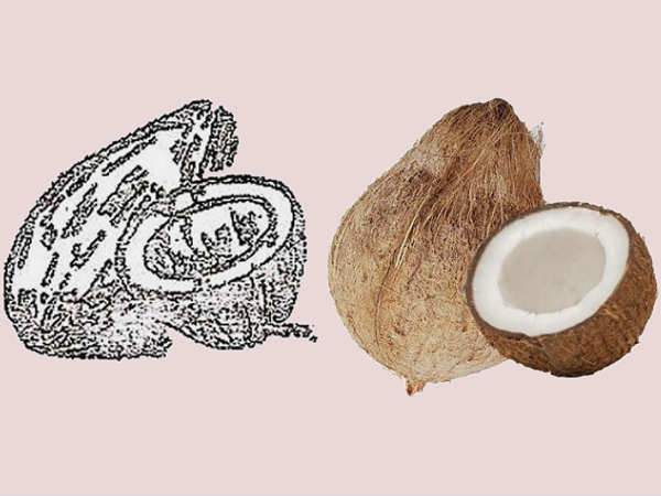 ಬಿಪ್ಯಾಕ್ ಬೆಂಬಲಿತ ಅಭ್ಯರ್ಥಿಗಳು ಇವರು