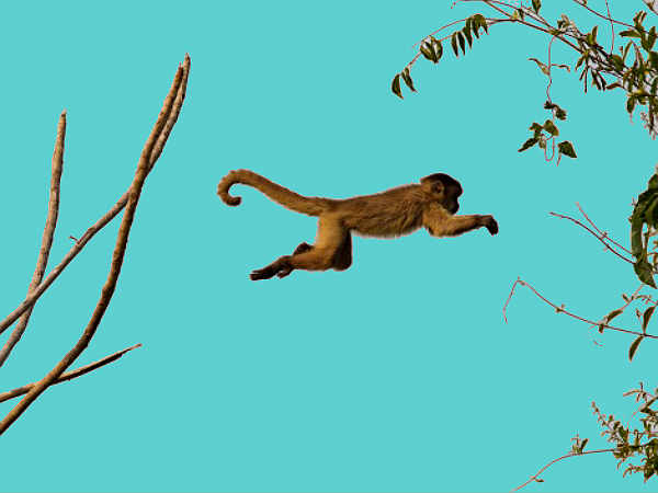 ಪಕ್ಷೇತರರು, ಇತರೆ ಚಿಲ್ರೆ ಪಕ್ಷಗಳ ಕಥೆಯೇನು?