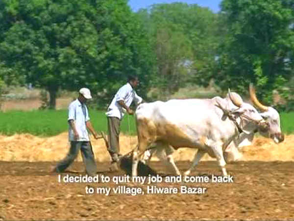 ನೈರ್ಮಲ್ಯೀಕರಣ, ಶಿಸ್ತು ಅಚ್ಚುಕಟ್ಟು: