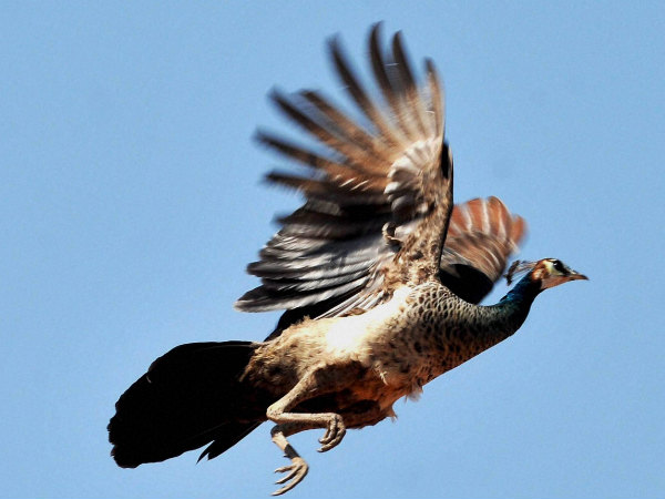 ಚಿತ್ರಗಳಲ್ಲಿ : ಕಾರ್ಮಿಕ, ಎಲೆಕ್ಷನ್, ಪ್ರತಿಭಟನೆ 