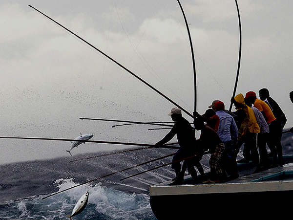 Fishing