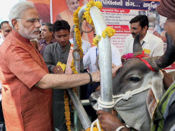 ಚಿತ್ರಗಳಲ್ಲಿ ಇತ್ತೀಚಿನ ಸುದ್ದಿ 