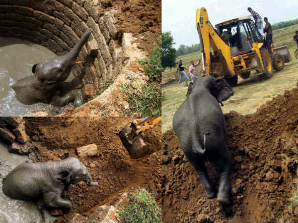 ಚಿತ್ರಗಳಲ್ಲಿ ಇತ್ತೀಚಿನ ಸುದ್ದಿ 