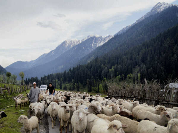 ಚಿತ್ರಗಳಲ್ಲಿ ಇತ್ತೀಚಿನ ಸುದ್ದಿ 