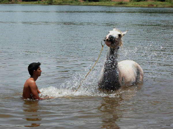 ಚಿತ್ರಗಳಲ್ಲಿ ಇತ್ತೀಚಿನ ಸುದ್ದಿ 