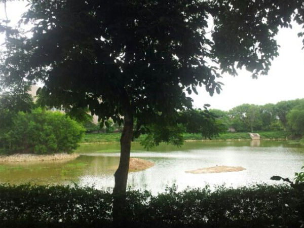ಕೆರೆಗಳು ತುಂಬುತ್ತಿದೆ ನೋಡಿ