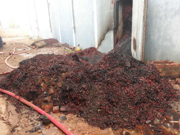 10 ಕೋಟಿಗೂ ಅಧಿಕ ಹಾನಿ