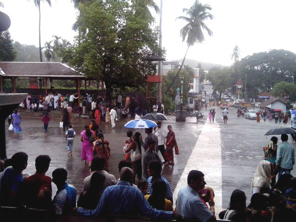 ಬಿತ್ತು ಜೋರು ಮಳೆ