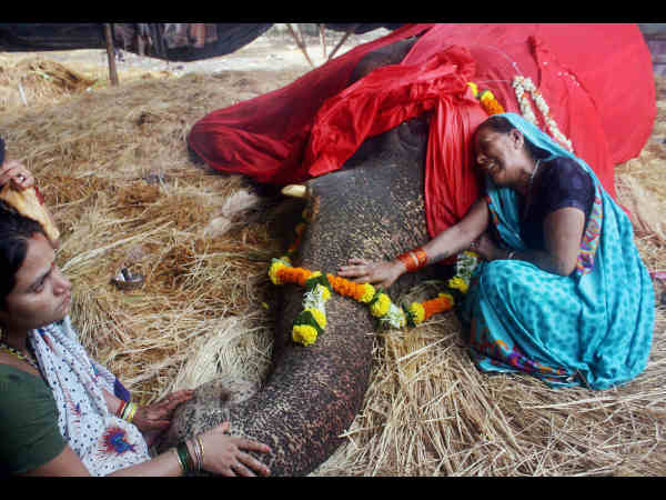ಈ ಸಾವು ನ್ಯಾಯವೇ?