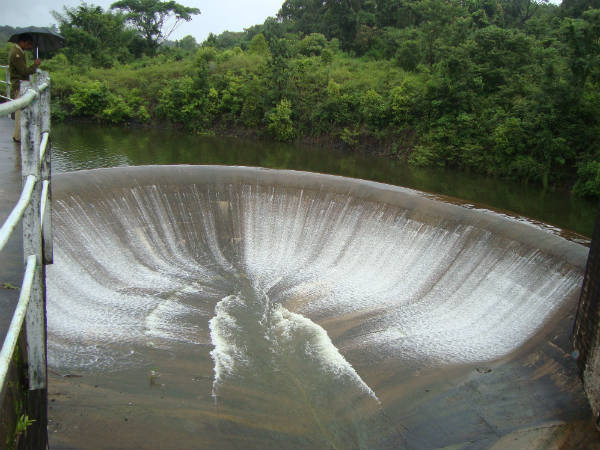 ಕೊಡಗಿನಲ್ಲಿ 1189 ಮಿ.ಮೀ ಮಳೆ