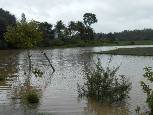 ಕಳೆದ ವರ್ಷಕ್ಕಿಂತ ಅಧಿಕ ಮಳೆ