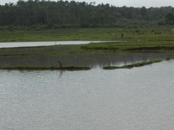 ಮಡಿಕೇರಿ ತಾಲ್ಲೂಕಿನಲ್ಲಿ