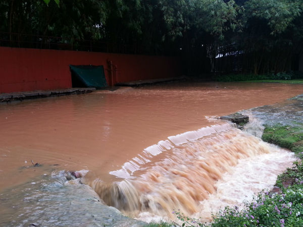 ಇದು ಮಲೆನಾಡಿನ ಮಳೆಗಾಲದ ಚಿತ್ರವಲ್ಲ