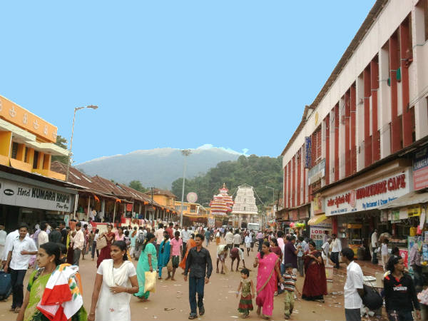 ಒಂದೂವರೆ ಮೀಟರ್ ಅಗಲದ ಹಸಿರು ಪ್ರದೇಶ