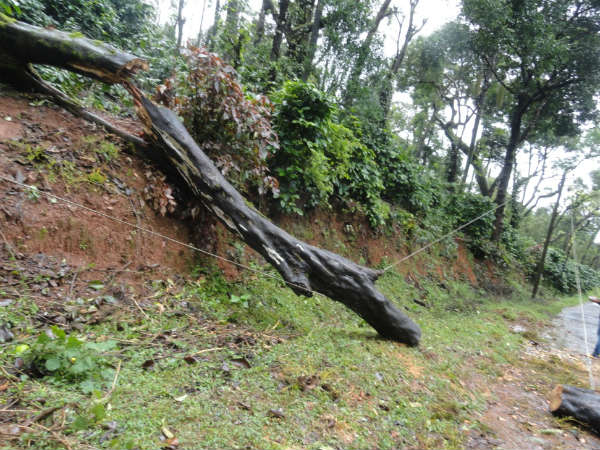 ವಿದ್ಯುತ್ ತಂತಿ ಕಡಿತದಿಂದ ನೋ ಕರೆಂಟ್