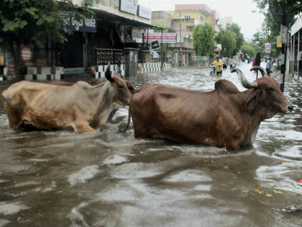 ಏ ಬಾರೋ ಹೋಗೋಣ