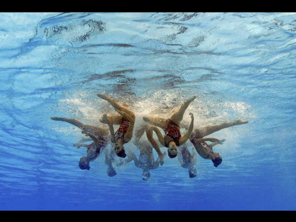 ನೆದರ್ಲೆಂಡ್ ಮತ್ಸಕನ್ಯೆಯರು