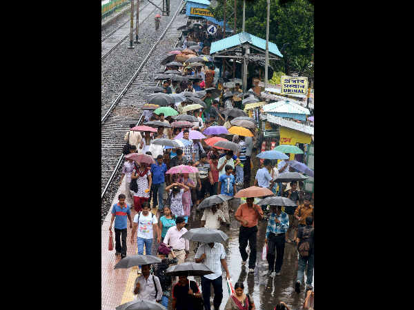 ಛತ್ರಿಗಳು ಛತ್ರಿಗಳು