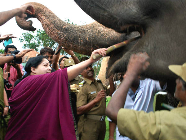 ಆಯತಪ್ಪಿ ಬೀಳುತ್ತಿದ್ದ ಜಯಲಲಿತಾ ಕೈಹಿಡಿದ ಭದ್ರತಾ ಸಿಬ್ಬಂದಿ