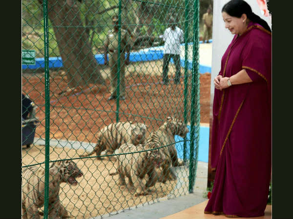 ಶಕುನ- ಅಪಶಕುನದ ಬಗ್ಗೆ ತಮಿಳುನಾಡಿನಲ್ಲಿ ಚರ್ಚೆ