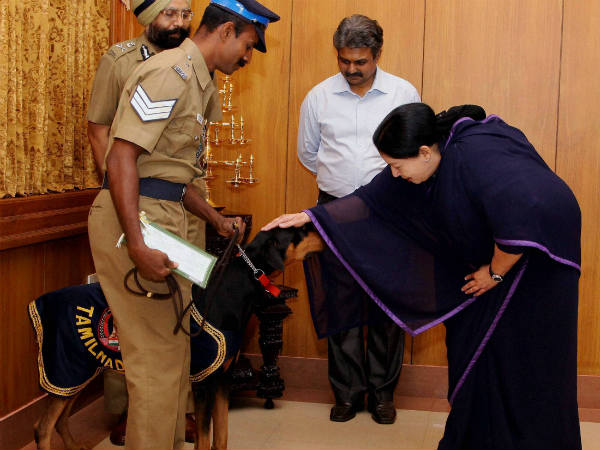 ಅಪಶಕುನದ ಮುನ್ಸೂಚನೆಯೇ?