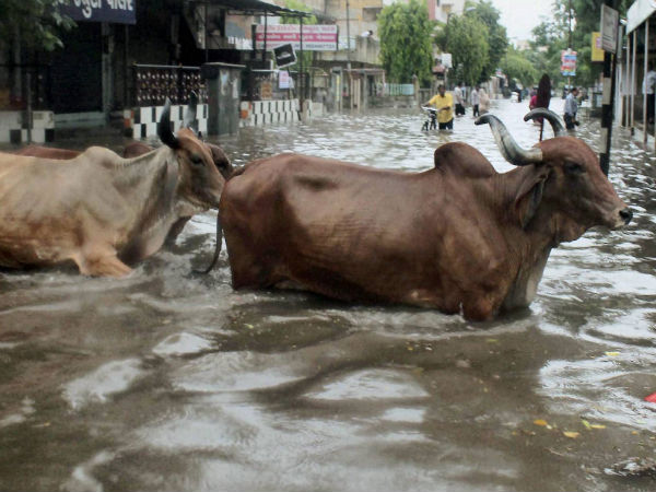 ಅಹಮದಾಬಾದಿನಲ್ಲಿ