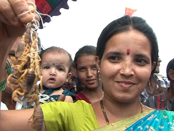 ಎಲ್ಲ ಕೊಂಡಮಾಯಿ ದೇವಿ ಕೃಪೆ
