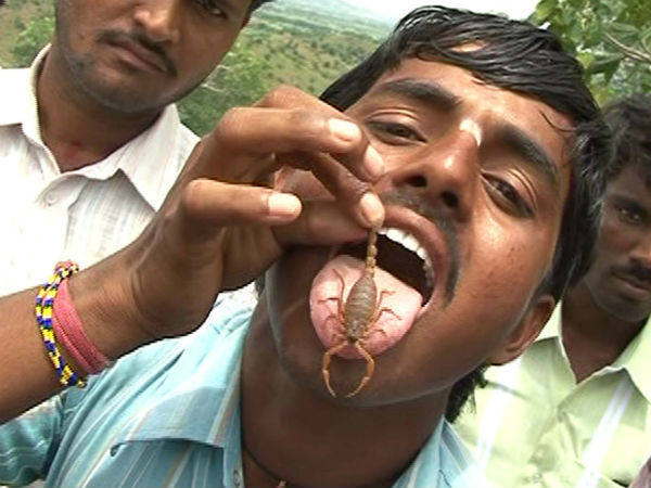 ಮಕ್ಕಳಿಗೆ ಚೇಳುಗಳು ಕಚ್ಚುವುದಿಲ್ವಂತೆ