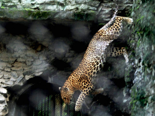 ಅಬ್ಬಾ ಕೆಳಗೆ ಬಂತು