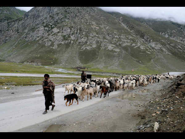ಡ್ರಾಸ್ ನಲ್ಲಿ