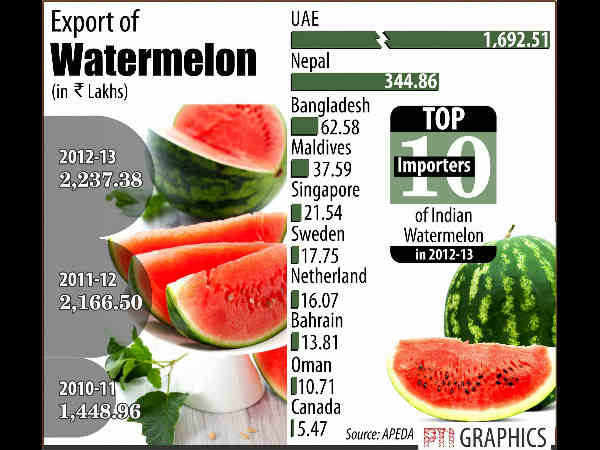 ಕಲ್ಲಂಗಡಿ ಕಥೆ