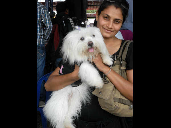 ಬಂದಿದ್ದ ತಳಿಗಳು