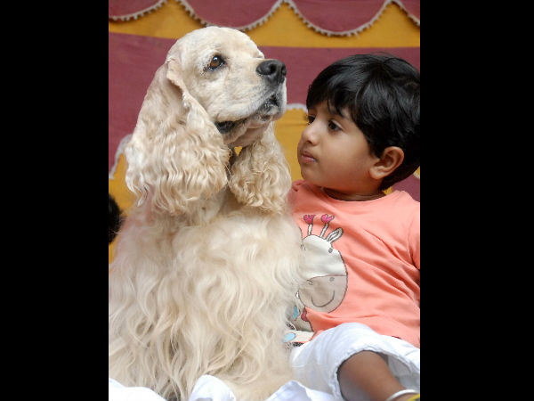 ಮಕ್ಕಳಿಗೆ ಮೋಜು