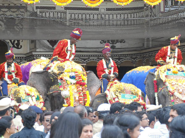 ಮೈಸೂರಿಗೆ ಆಗಮಿಸಿದ ಗಜಪಡೆಗೆ ಭವ್ಯ ಸ್ವಾಗತ