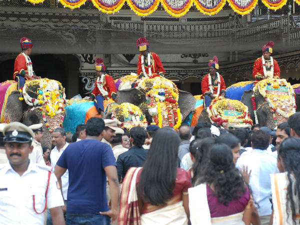 ಆನೆಗಳ ನೋಡಲು ಬಂದ ಸಾರ್ವಜನಿಕರು