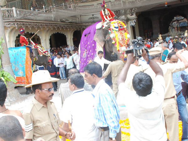 ಅಂಬಾರಿ ತೂಕ ಇಳಿಸುವುದಿಲ್ಲ