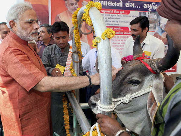 ಗೋಮಾತೆಯ ಸಂರಕ್ಷಣೆ