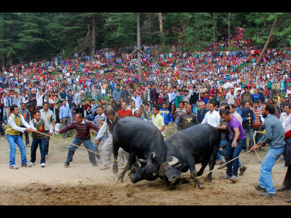 ಇತ್ತೀಚಿನ ಸುದ್ದಿ