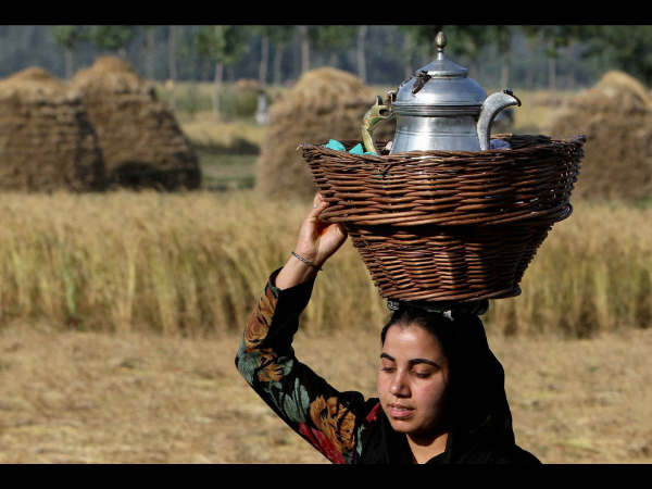ಶ್ರೀನಗರದಿಂದ