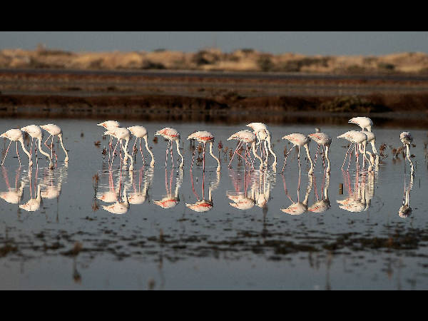 ಗ್ರೀಸ್ ನಲ್ಲಿ