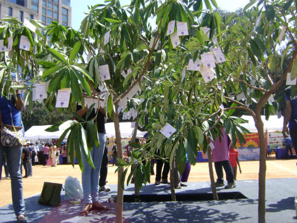 ಈ ಮರ ಮಾರಾಟಕ್ಕಿಲ್ಲ!