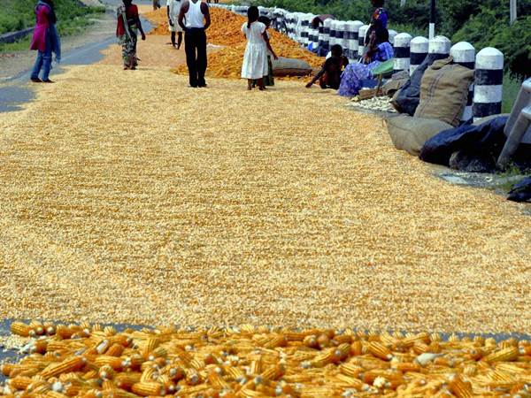 ಆಂಧ್ರದಿಂದ