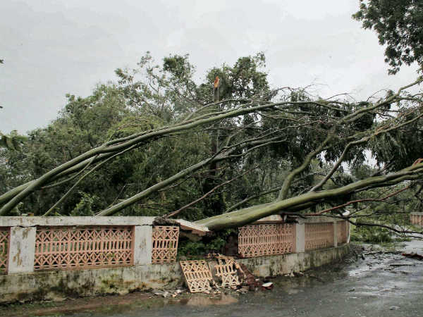 ವಿದ್ಯುತ್ ಕಚೇರಿಯಲ್ಲಿಯೇ ಈ ಸ್ಥಿತಿ