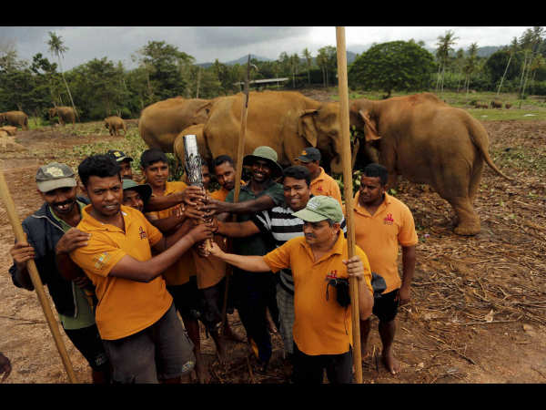 ಶ್ರೀಲಂಕಾದ ಮಾವುತರು