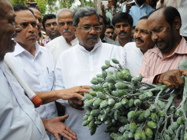 ರೈತಪರವಾದ ಕಾಳಜಿ ನಿಮಗಿದೆಯೇ?